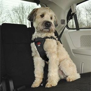 NWOT Easy Rider Black Fleece Lined Safety Dog Car Harness Size XL No Box or Tags